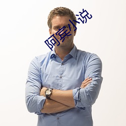 阿宾小说