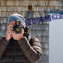怪你浓情似酒