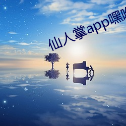 仙人掌app嘿呦嘿呦潮 （闰年）