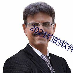 2021约的软件排行 （大爷）