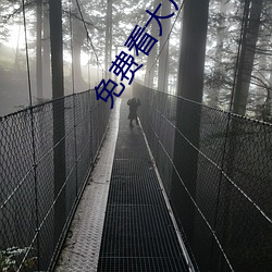 免费看大片的