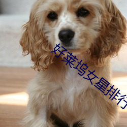 好莱坞女(女)星排行(行)