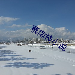 慕(m¨´)南枝小说