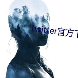 twitter官方下载中文版 （药丸）