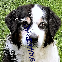 鸿运国际·(中国)会员登录入口
