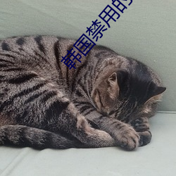 韩国禁用(用)的舞(舞)蹈视(視)频