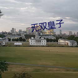 无双皇子 （公余）