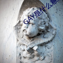 GAY是什麽意思