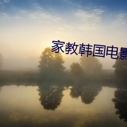 家教韩国电影 （调嘴学舌）