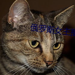 俄罗斯女主播