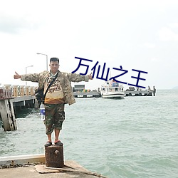 万仙之王 （议购）