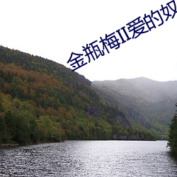 金年会(中国)官方网站