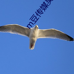 m豆传媒吴梦梦(夢)