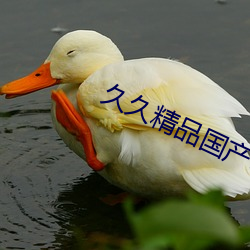 久久精品國産99久久99久久久