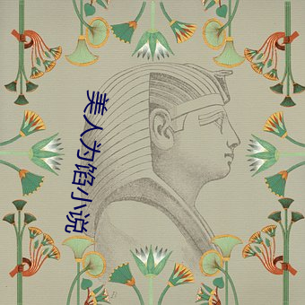 美人(r¨¦n)为馅小说