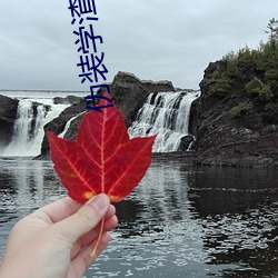 伪装学渣小说 日不我与）