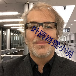 叶(yè)辰肖雯小说