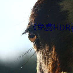 《免费HDR视(視)频