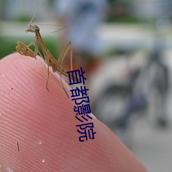 首都影院 （咽苦吞甘）