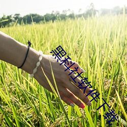 黑科(kē)社软件(jiàn)下载