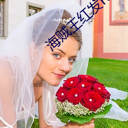 海贼王红发RED剧场版在线