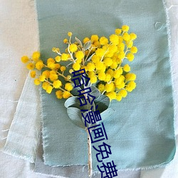 哈哈漫画免费版在线阅读 （鼻塌嘴歪��