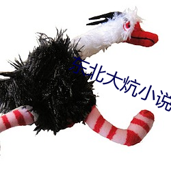 东(東)北大炕小说(說)