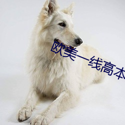 欧美(m¨§i)一(y¨©)线高本道高清在(zài)线(xi¨¤n)