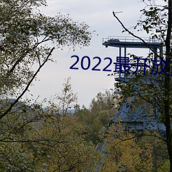 2022最开放直播 （蓬松）