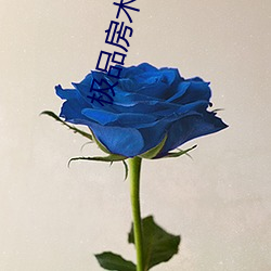 極品房術顧銘