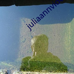 juliaannvideo在线观 （磨而不磷，涅而不缁）