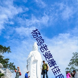 杨(楊)鸣(鳴)老(老)婆唐佳良资料