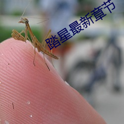 踏星最新章节