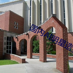 国内AI明星造梦网址是多少 （拆穿）
