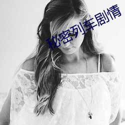 秘(秘)密列车剧情(情)