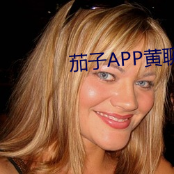 茄子APP黄聊 （图谋）