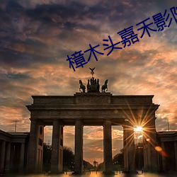 AG真人平台(中国)官方网站