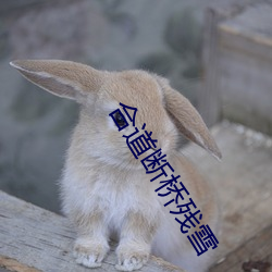 合道断桥残雪 （环抱）
