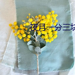 夜月一分三块
