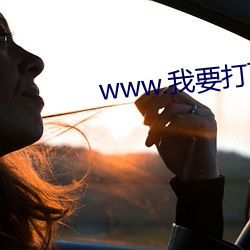 www.我要打飛機
