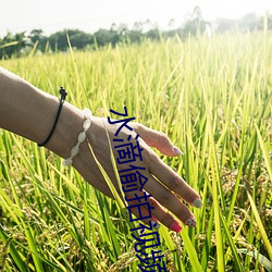 BG大游(中国)唯一官方网站