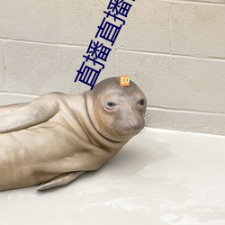 直(zhí)播(bō)直播间下载