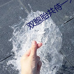双胞胎共侍一夫(fū)