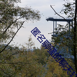 918博天堂·(中国)手机版客户端