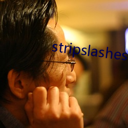 stripslashes （肖像画）