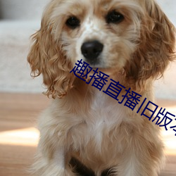 趣播直播旧版本