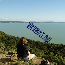 官(guān)路红(hóng)颜