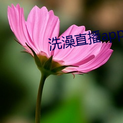 洗澡(zǎo)直播app下(xià)载