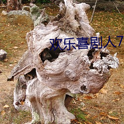 欢乐(lè)喜剧人(rn)7