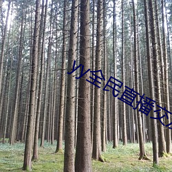 yy全(全)民直播交(交)友软(軟)件